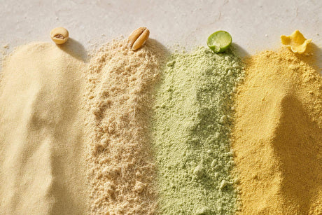 Top Plant-Based Sources for Cell Culture Media